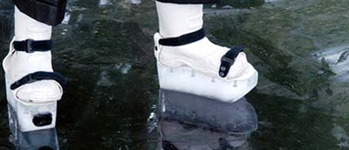 iceskate shoe