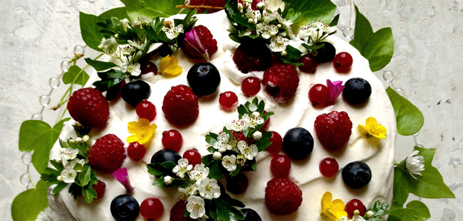 garden cake :: a twist on the traditional Christmas cake