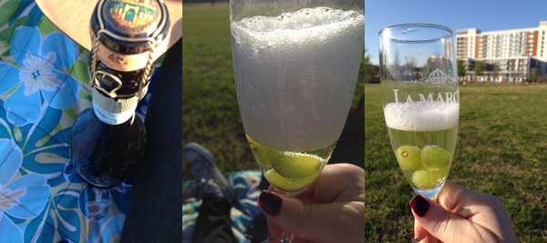 Day-Date Idea: Picnic & Prosecco  | Genpink