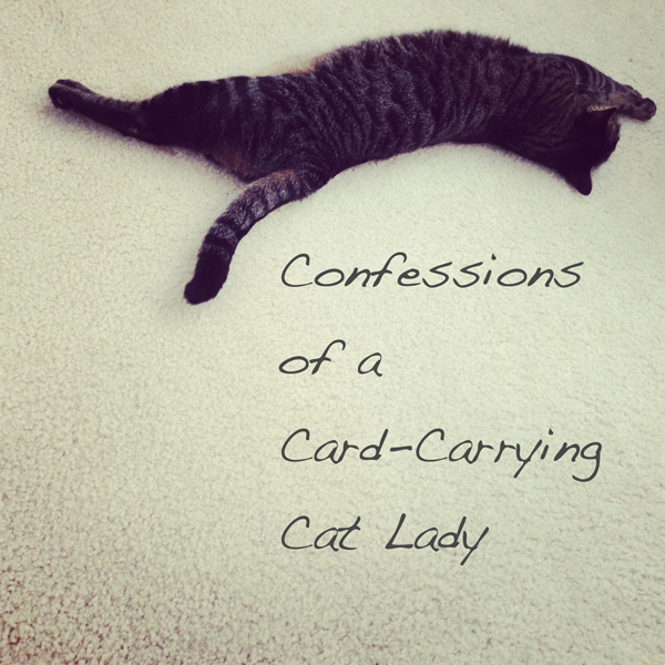 Confessions of a Card-Carrying Cat Parent | #pmedia #CatParents 