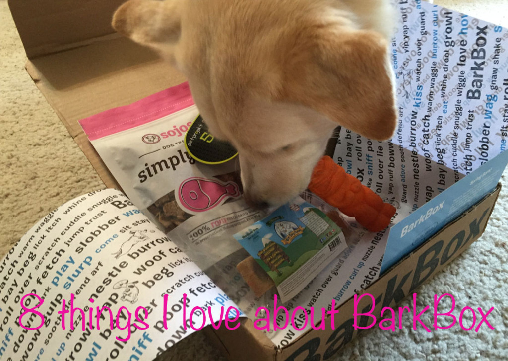 8 reasons why I love BarkBox | Genpink