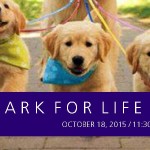 BarkforLife 2015 via genpink.com