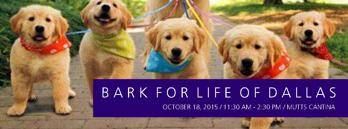 BarkforLife 2015 via genpink.com