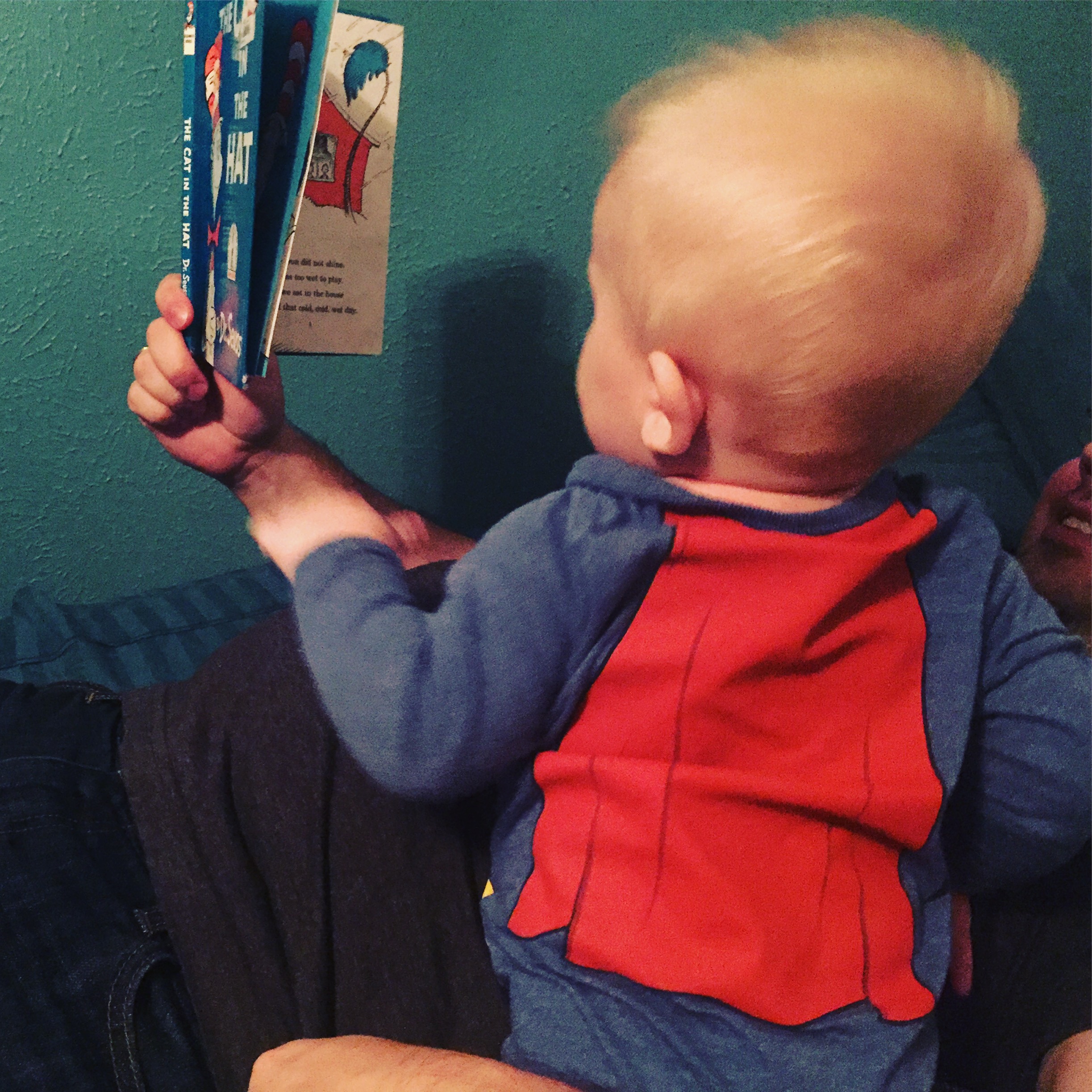 Last-Minute Gift Guide: Toddler Books