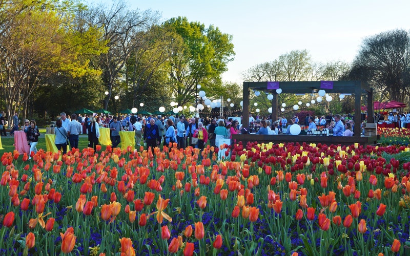 dallas arboretum food and wine festival